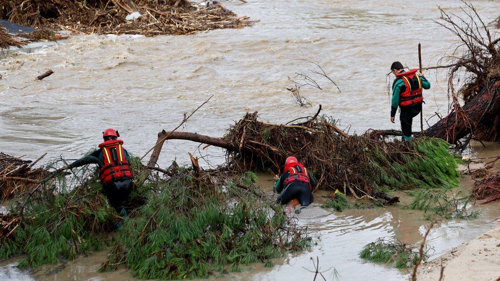 Службы экстренной помощи стоят на дереве у реки и ищут пропавшего мужчину
