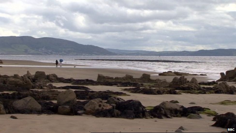 County Donegal Row erupts over oyster farm at beach beauty spot BBC News