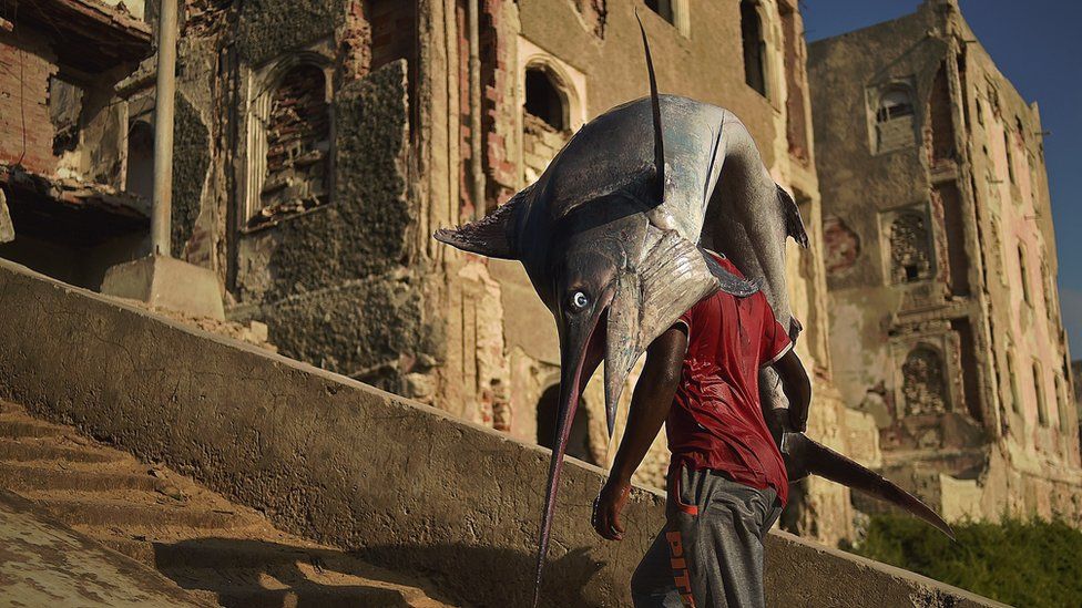 Un pêcheur ramène sa prise dans la ville portuaire historique de Mogadiscio.