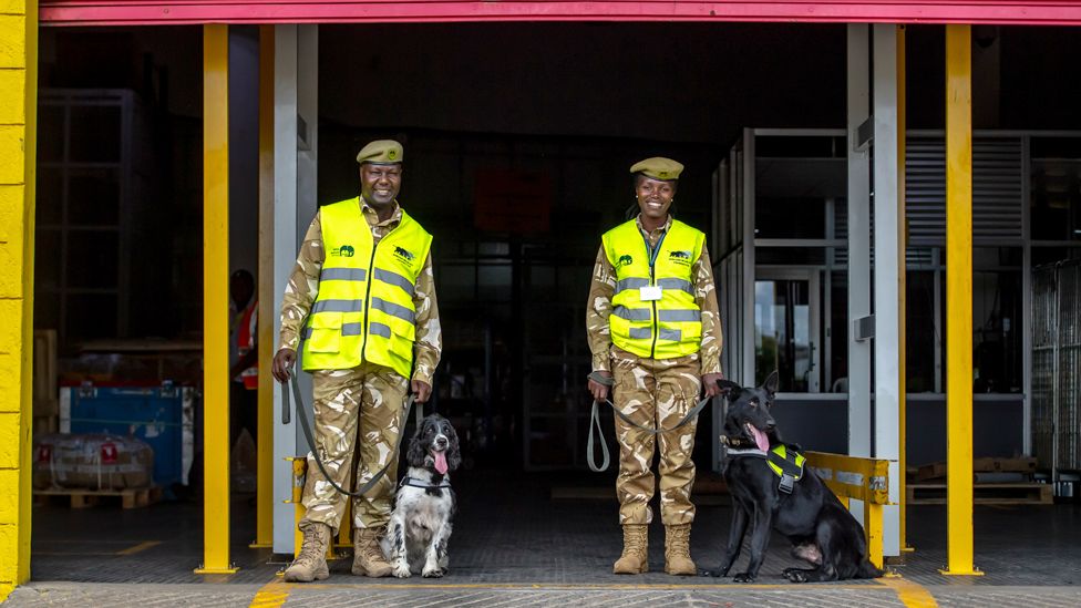 Two dog handlers with their dogs at Jomo Kenyatta International Airport, outside the DHL warehouse, in Nairobi, Kenya