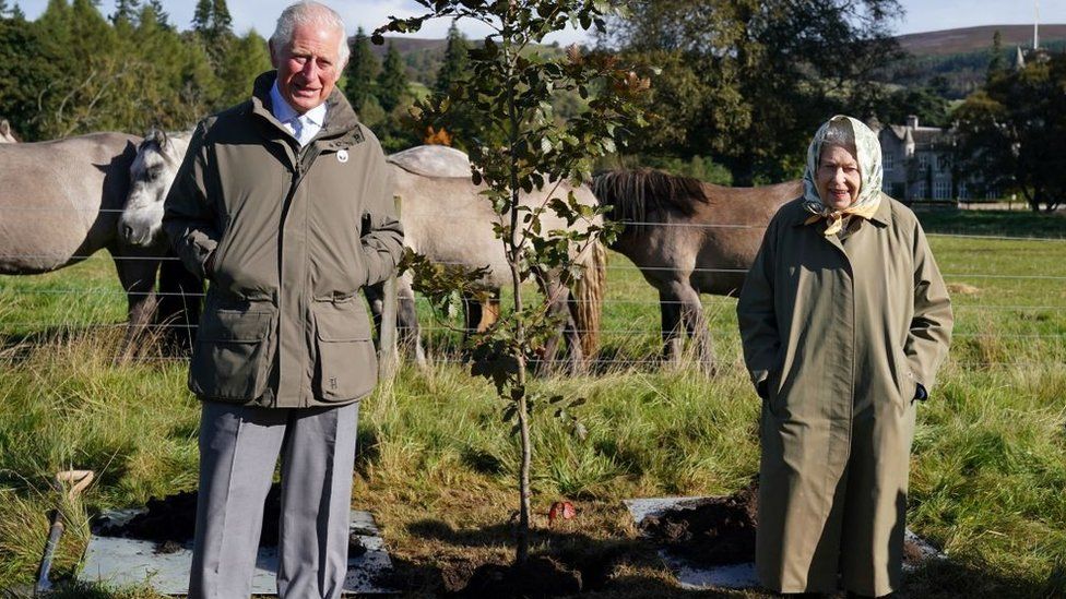 Prince Charles and the Queen alongside the tree they planted to mark the start of the Queen's Green Canopy project