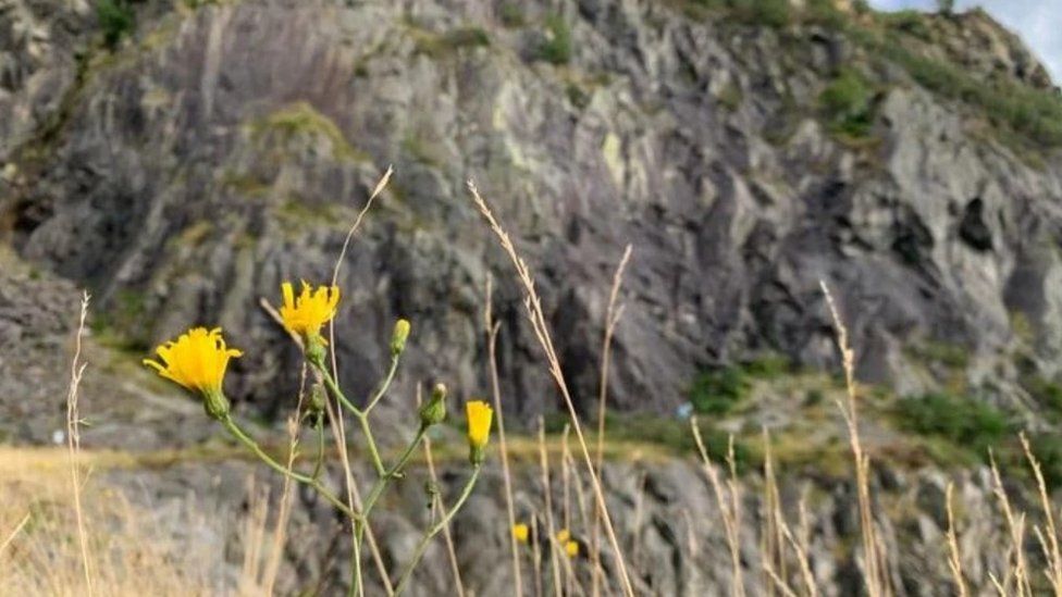 Bram Crag Quarry