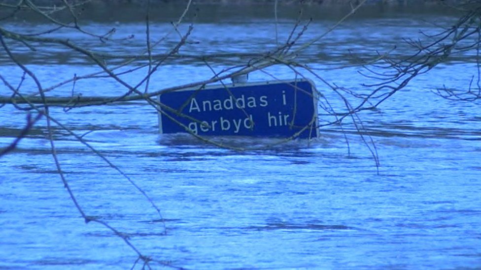 Ffordd yn ardal Llechryd dan ddŵr
