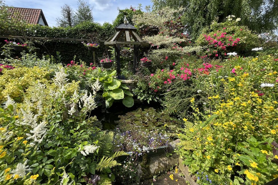 Rita and Roy Cooper, open garden