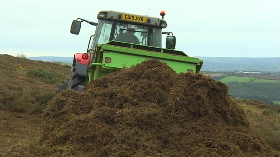 Pile of harvested gorse with tractor in background