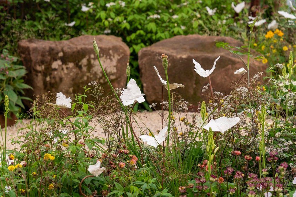 Joe and Laura's garden at Chelsea Flower Show