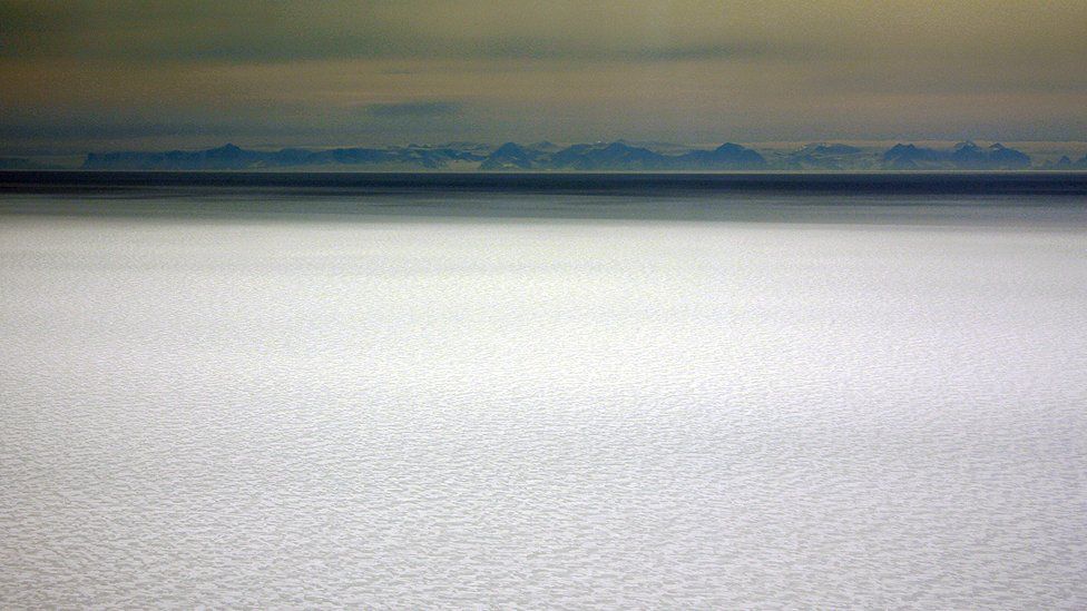 Larsen C Ice Shelf