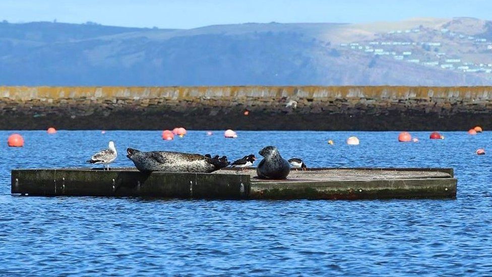 New pontoons in Wardie Bay off the Edinburgh coast