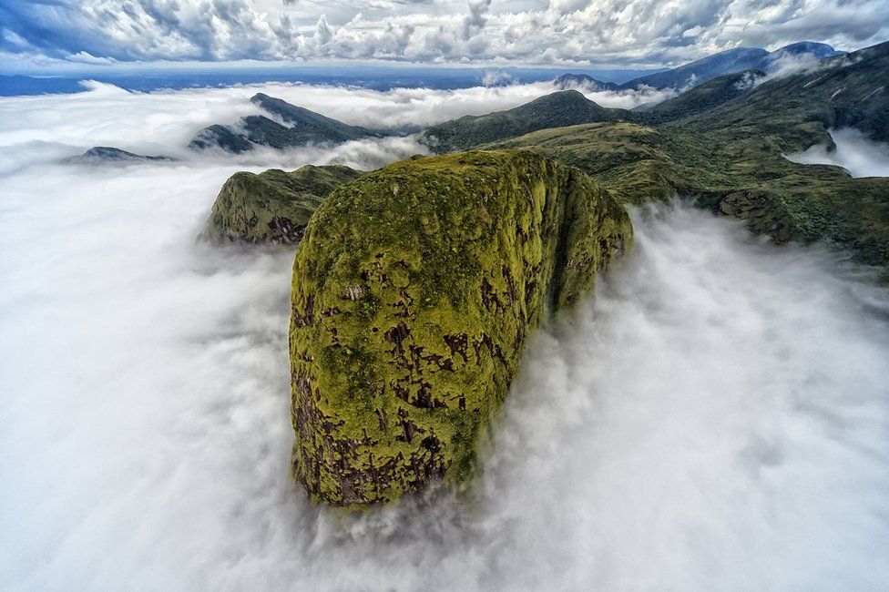 A green-covered top of a mountain emerges from the clouds