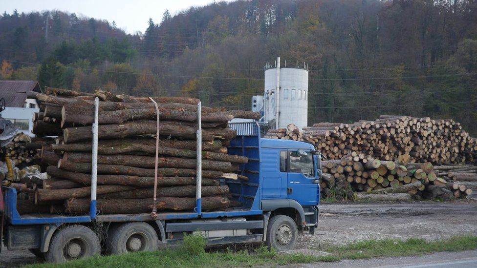 Logs outside Sevnica