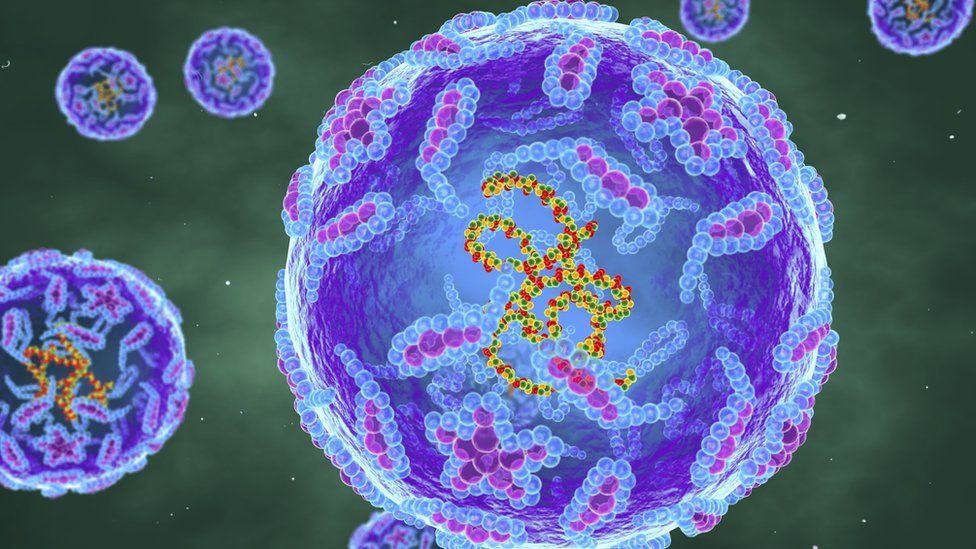 На изображении показаны частицы вируса полиомиелита