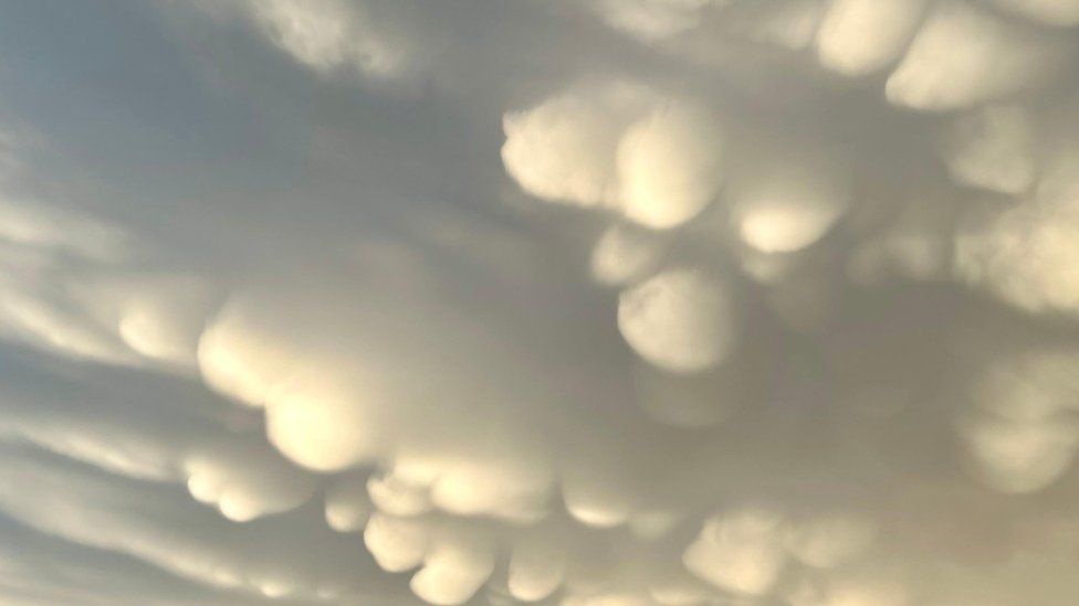 Photo of sky full of dark cloud, with the pouch-like appearance of mammatus clouds illuminated by the sun