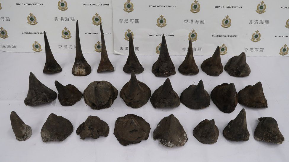 Photo released by Hong Kong Customs and Excise Department of seized rhino horns