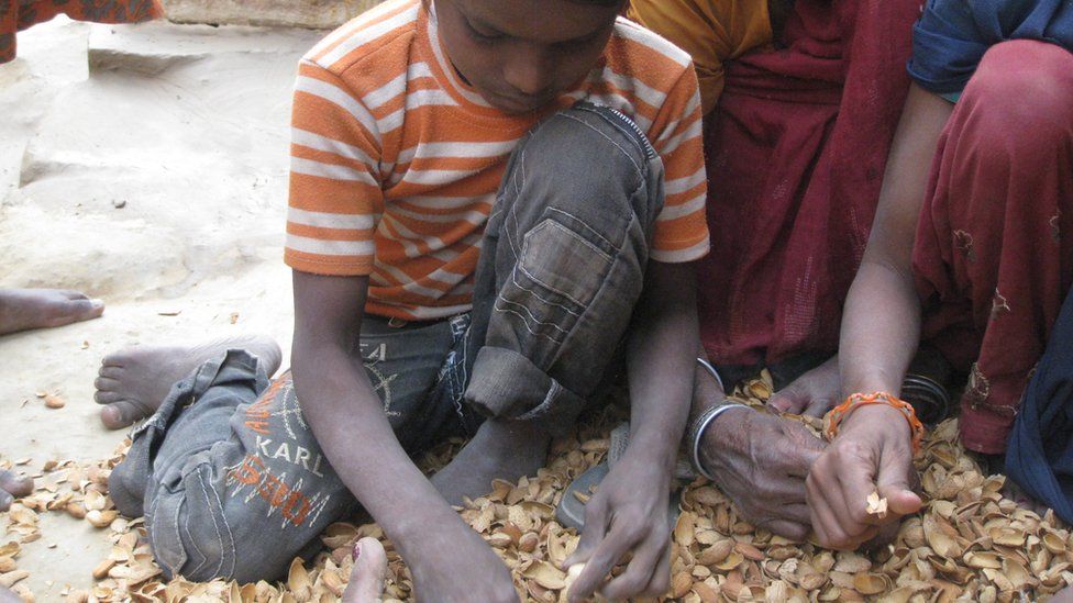 child shelling almonds