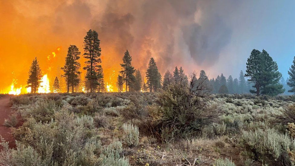 In this handout provided by the USDA Forest Service, the Bootleg Fire burns on July 12, 2021 in Bly, Oregon.