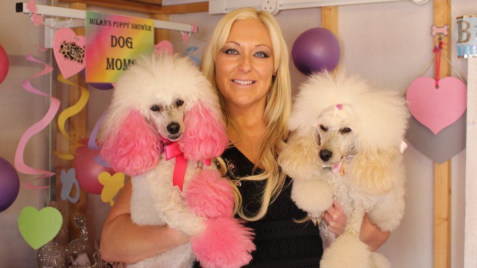 Daniela Forshaw with her poodles