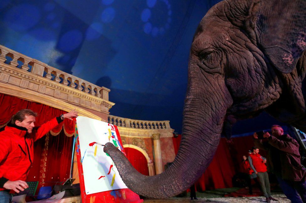 Sandra, a 42-year-old elephant, paints with her trunk.