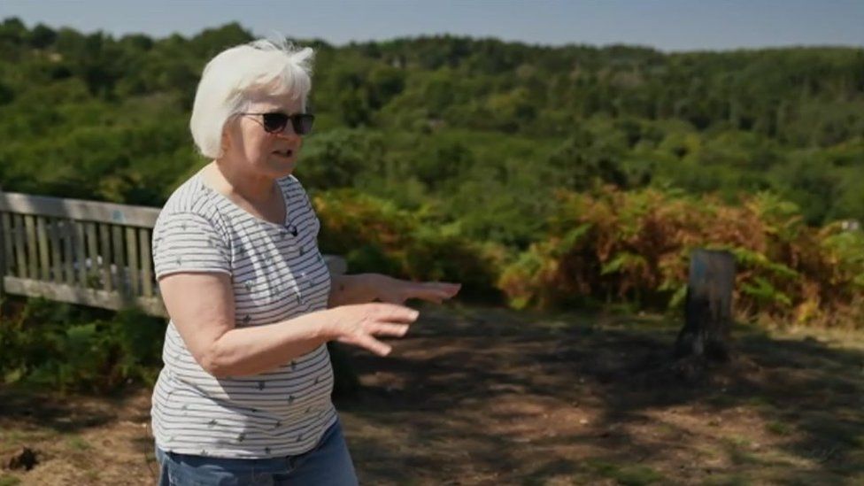 Jill Harvey, Lickey Hills Society