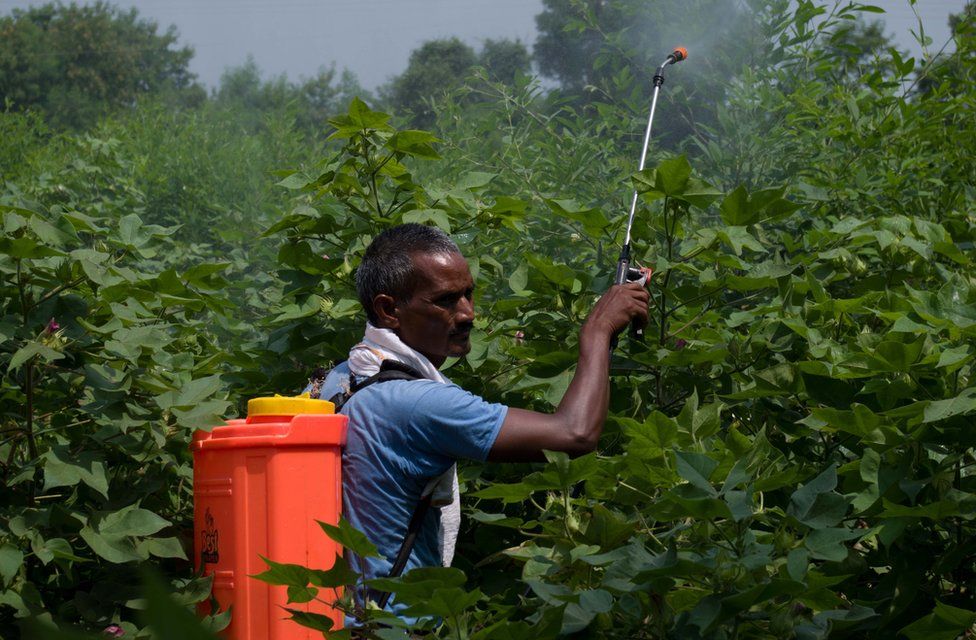 Farmer using pesticide
