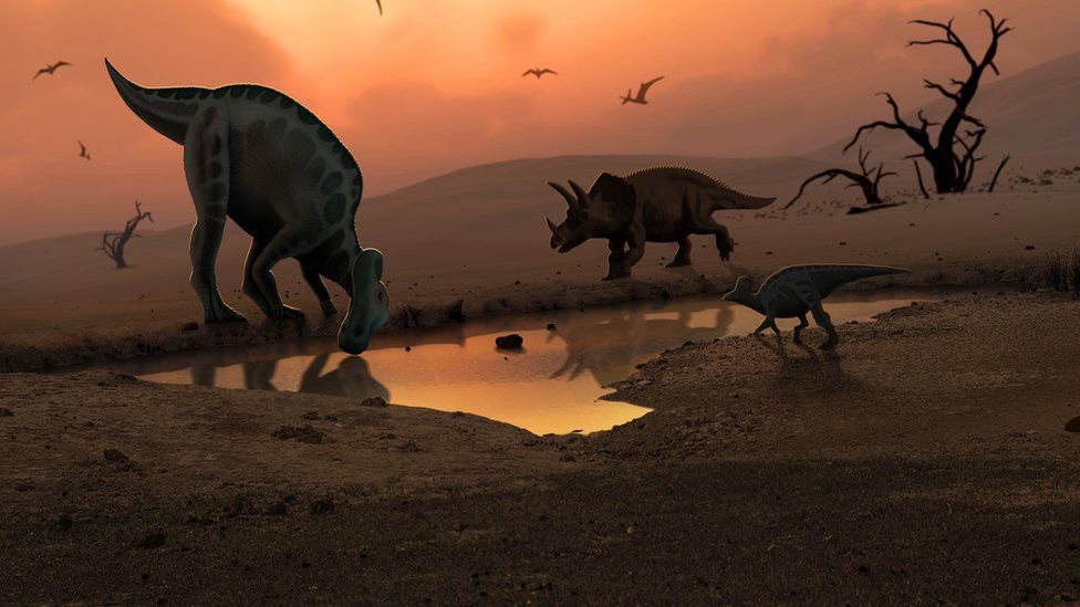 Dinosaurs were 'thriving' and might have lived on if asteroid hadn