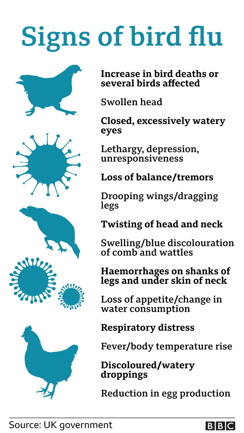 Bird flu Avian influenza confirmed in Anglesey poultry BBC News