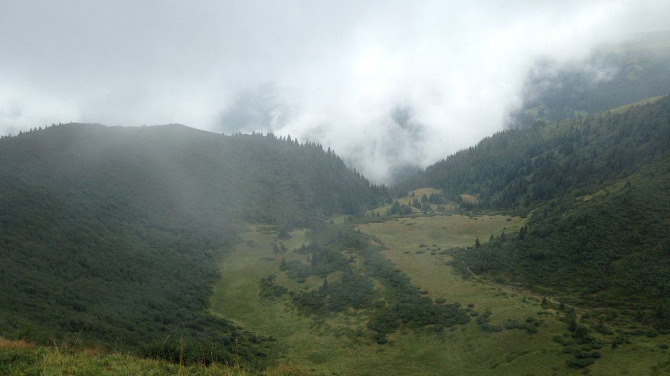 Карпати