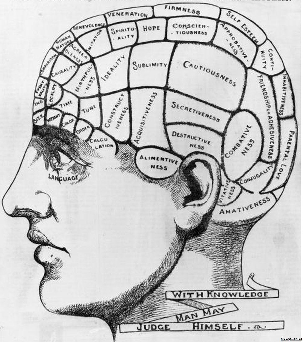 circa 1880: A phrenological cross-section of a man's head, illustrating the idea that the brain processes thoughts in different locations according to their type