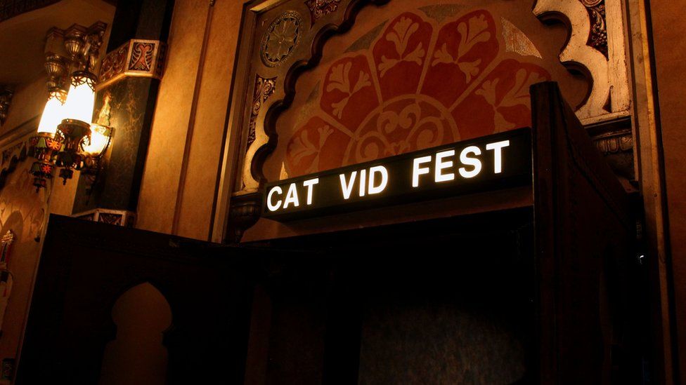 A cinema sign shows 'Cat Vid Fest' above an ornate door