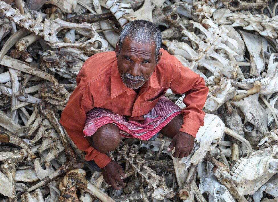 Brijwasi Lal sitting amid a pile of animal bones