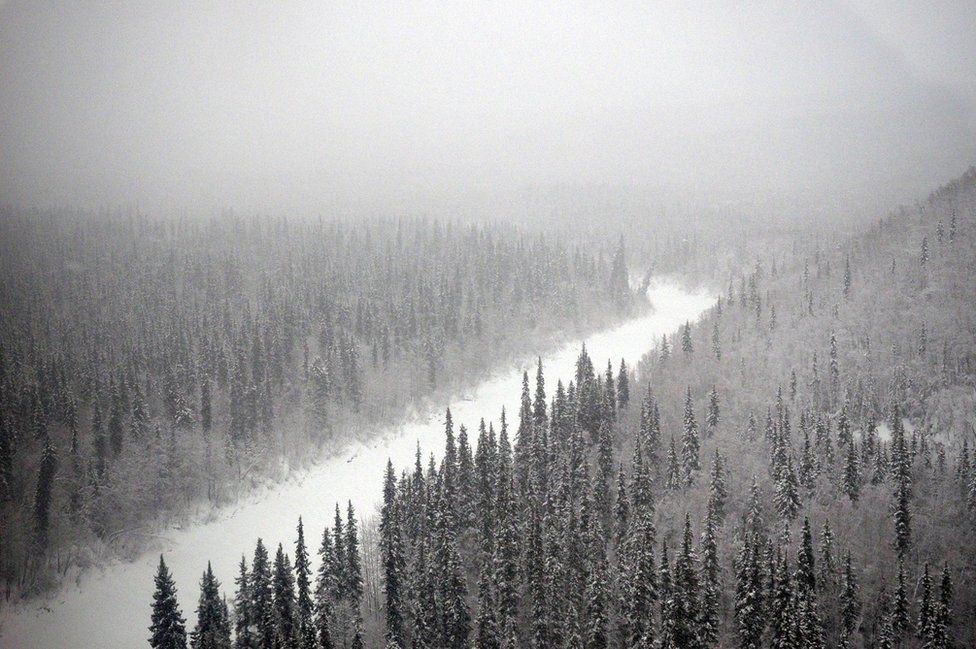 The Alaskan landscape