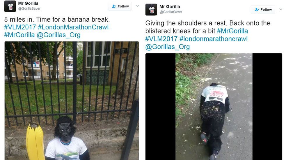 tweets from Mr Gorilla
