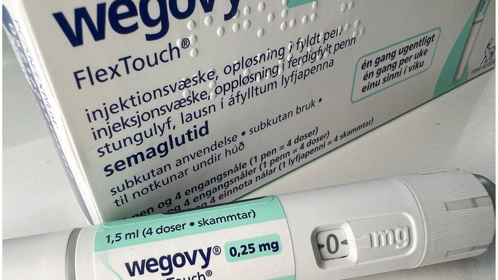 A 0.25 mg injection pen of Novo Nordisk's weight-loss drug Wegovy.