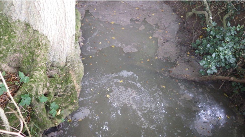 Sewage that has poured off the bridleway into the tributary of Bourn Brook