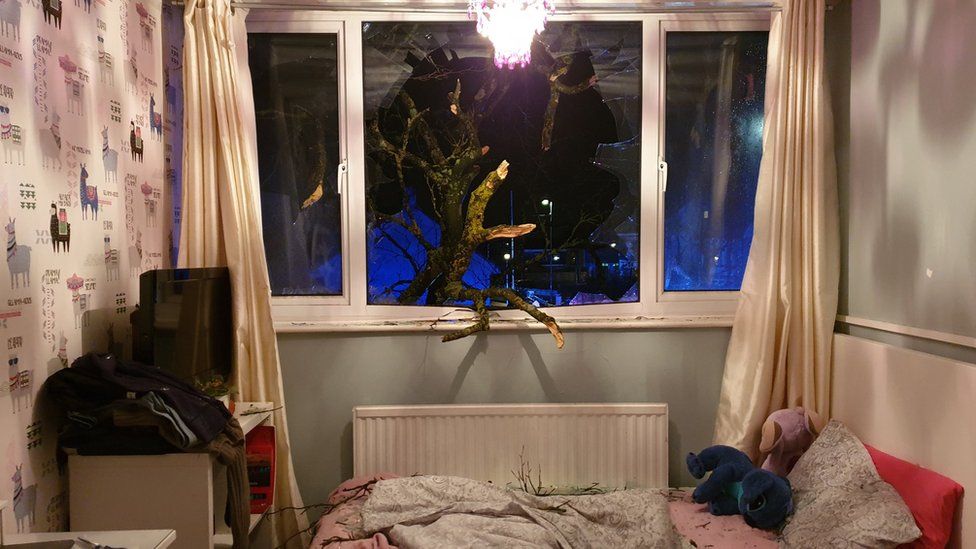 Branches of a tree that came through the window in a block of flats in Hanham