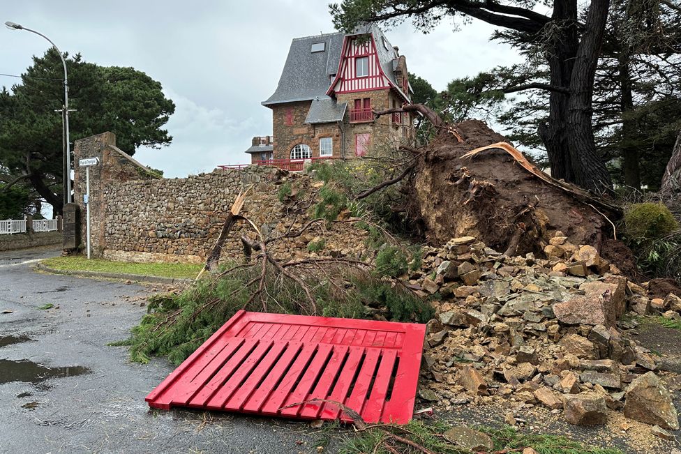 A fallen tree is seen during Storm Ciaran in Perros-Guirec, Brittany, France, November 2, 2023.