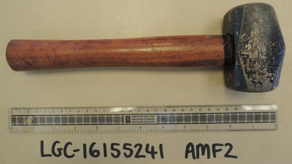 Hammer attack man detained after Cambridge lecturer wife murder attempt