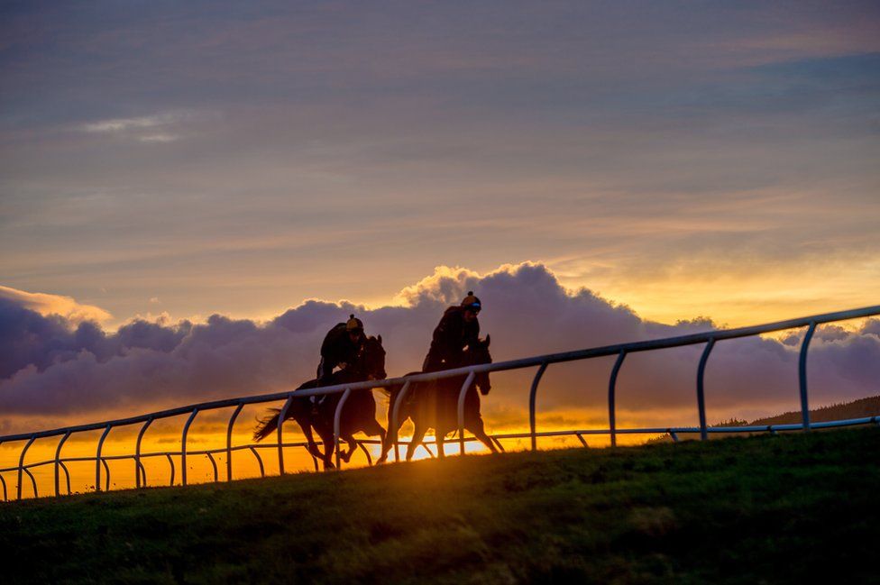 Racehorses train at sunrise at Middleham Park Racing ground, North Yorkshire.