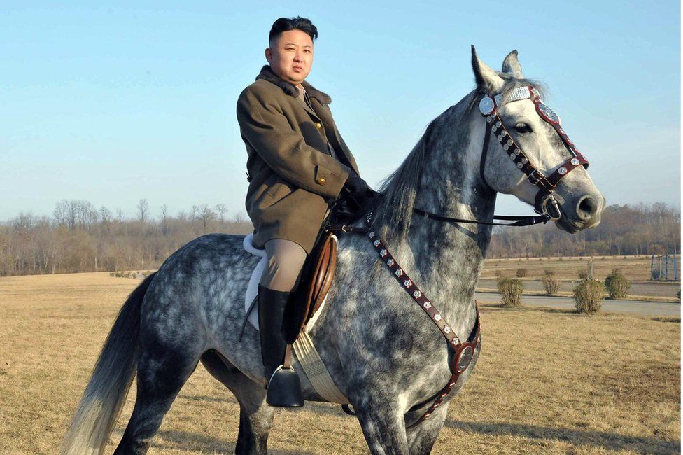 An undated file picture released by KCNA on 20 November 2012 showing the North Korean leader sitting on a horse in the training ground of a horse riding company.