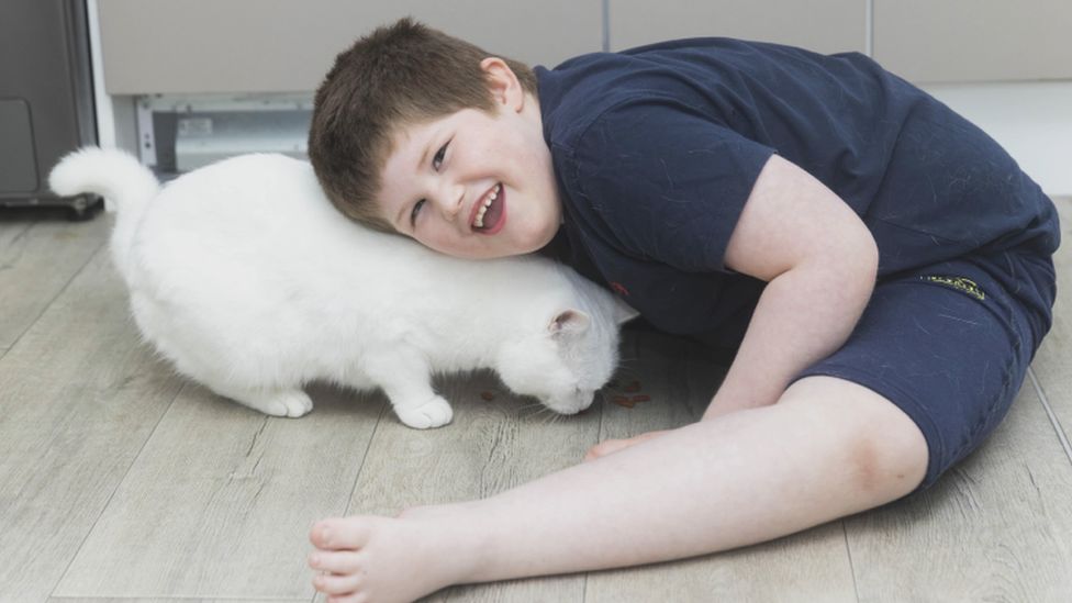 Three-Legged Cat Wins Charity Award