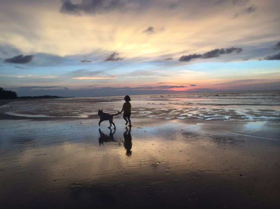A young girl and Labrador run on the beach as the sun sets