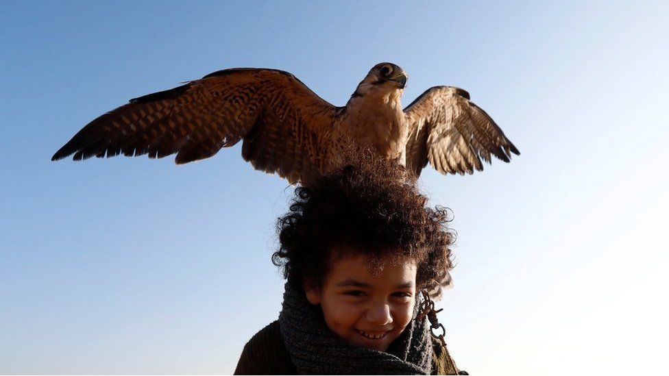 Ammar, 11, a member of EGY Falconer Club plays with his falcon "Ashqar" during a celebration on World Falconry Day at Borg al-Arab desert in Alexandria, Egypt, November 17, 2018