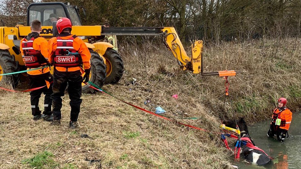 Lincolnshire firefighters rescue horse trapped in water near Spalding ...