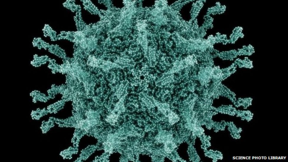 Polio Vaccinated British Man Shed Virus For 30 Years Bbc News 5261