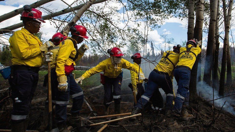 A group of South African firefighters work to uproot a tree as they remove hot spots from a massive wildfire outside of Fort McMurray, Alberta, Canada - 2 June 2016