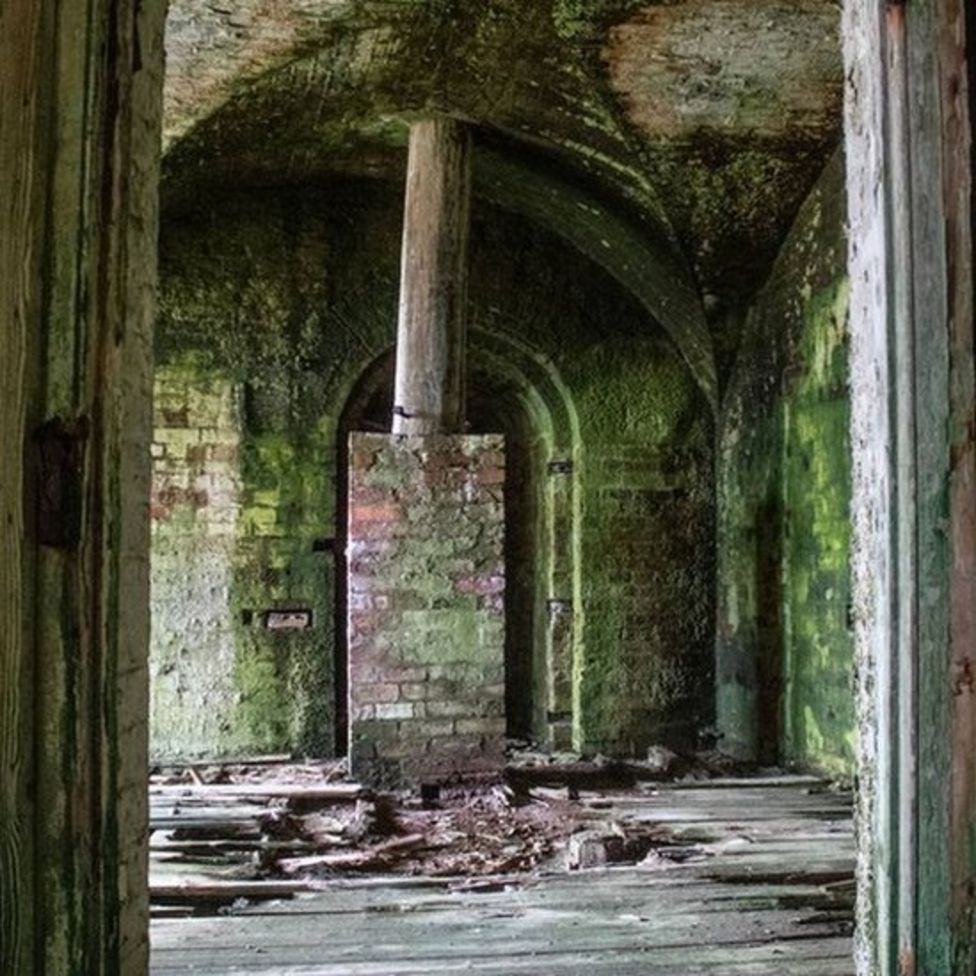 Stack Rock Fort Victorian island reclaimed by nature BBC News