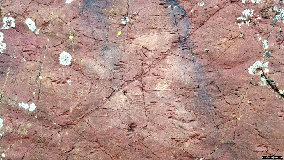 Tracks are visible in the rock