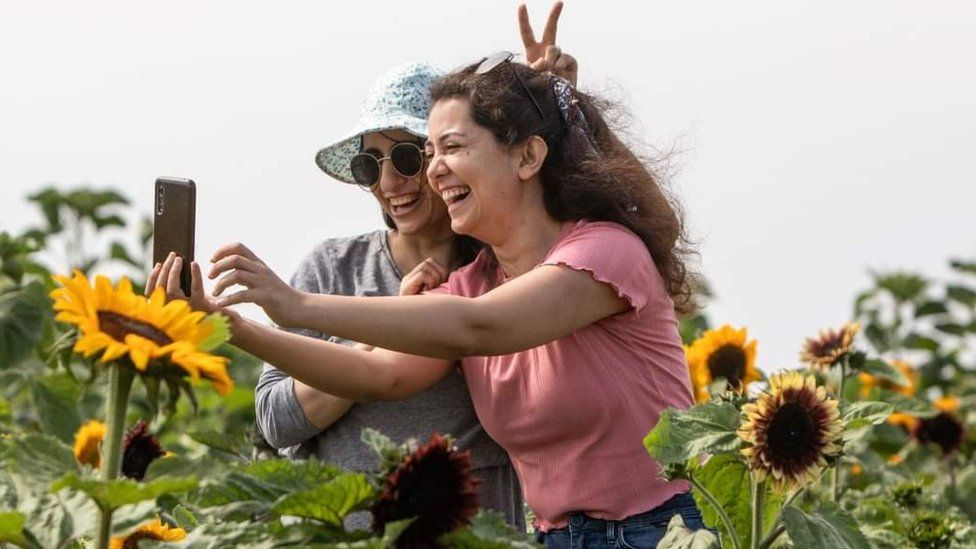 Women taking a selfie with sunflowers at Rhossili Sunflowers