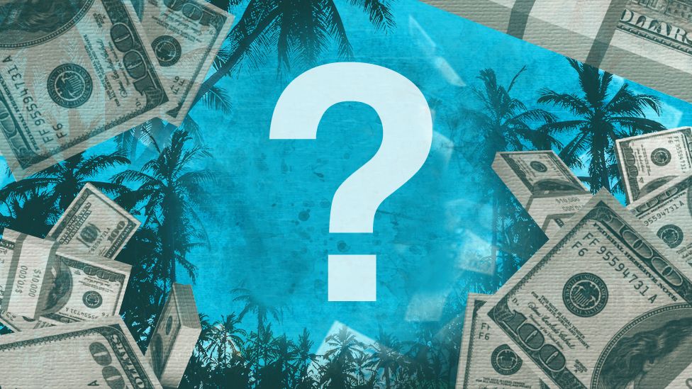 Graphic of money and palm trees