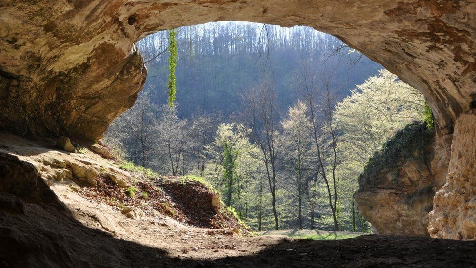 Vindija Cave, Croatia