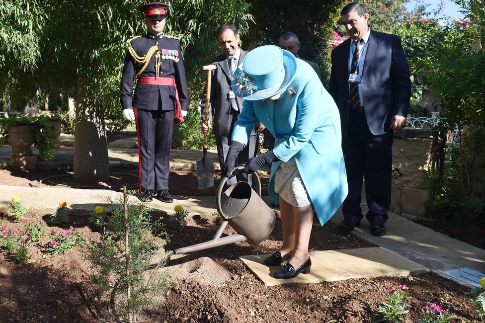 The Queen watering a native Maltese tree